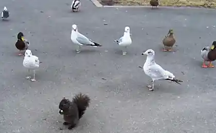 ХМ...