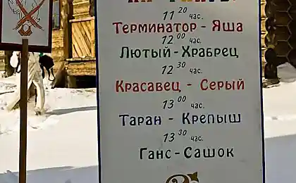 Гусиные бои