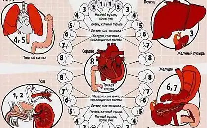 Як доглядати за зубами – досвід предків