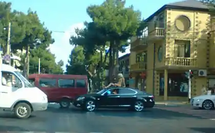 Хороший пасажир Lexus (3 фото)