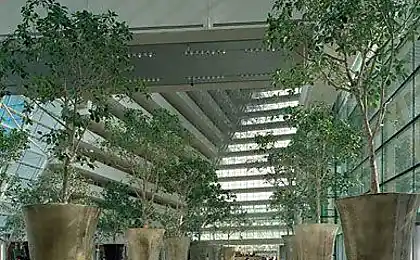 Marina Bay Sands Hotel in Сінгапур (24 фотографії)