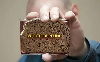 Такая вот корочка