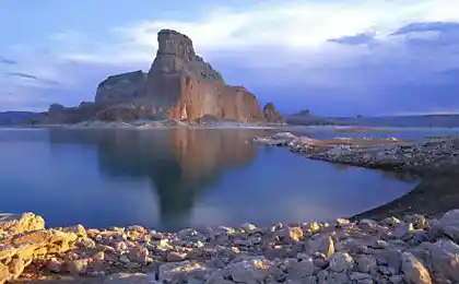 Натуральний світ