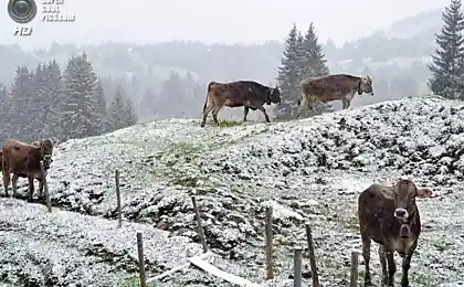 Снегопады в Европе