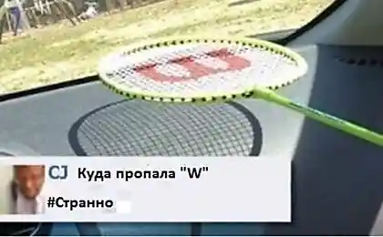 Средний уровень интеллекта американцев