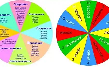 Матриця життєвого поля