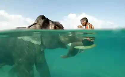 Друзья по жизни