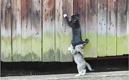 Давай подсажу ...)))