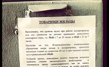 А кота пришлось побрить.......