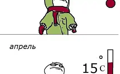 И так каждый год