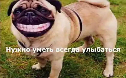 Мистецтво щасливого