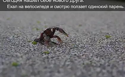 Поза «69»