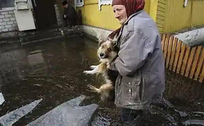 Беларусь топит. Днепр поднялся на 5 метров