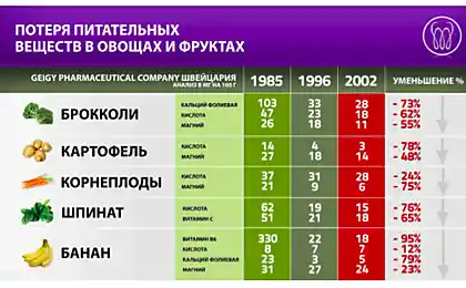 Жива вода. Жива їжа