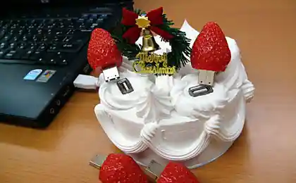 Рождественский USB - торт за $455 (2 фото)