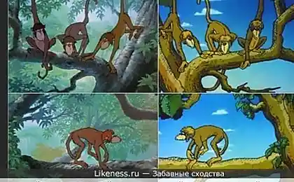 Кто на кого похож.