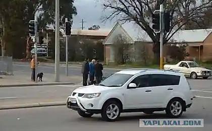 Крушель! На останньому поході з вітром