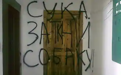 Спать мешает