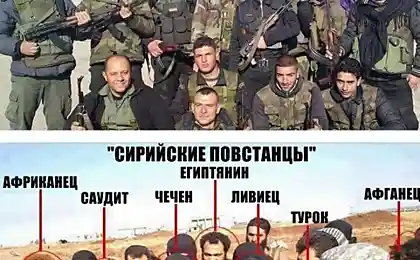 Відмінність в Warring (Syria)