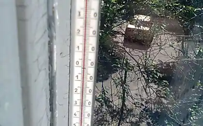 Солнечная сторона лета 2010 года