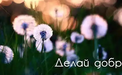 9 живих оповідань, від читання яких світ стає більш яскравим.