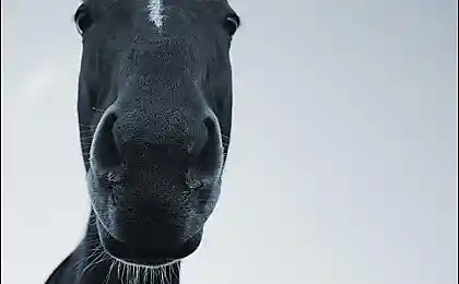 есть че??