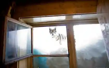 Сахалин