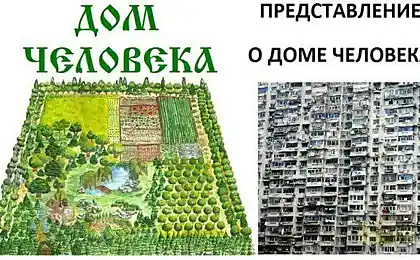 Что такое дом для человека?