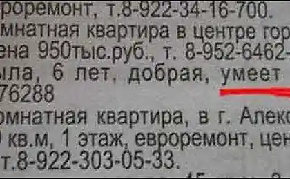 смішний тип