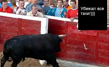 Fotozagadka day: run away from the bull
