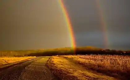 Чарующие картинки