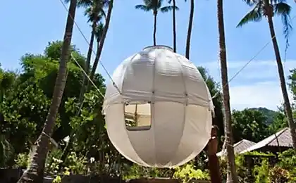 Extraño en la casa de Cocoon Tree: relajamos en la naturaleza