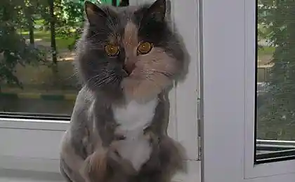 Моя любимая девочка =) (зацените!)