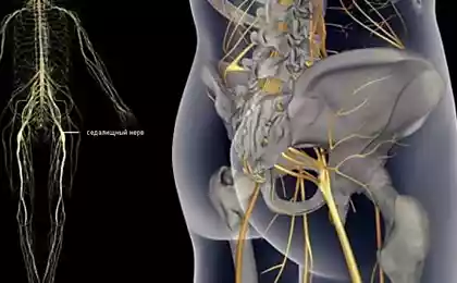 1 упражнение, которое реально избавляет от болей в пояснице! Приструните седалищный нерв