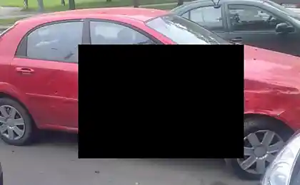 Ренгеновский снимок на обычный телефон
