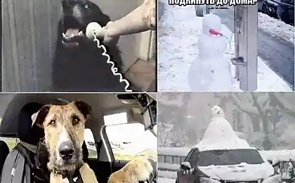 Алло, это снеговик!