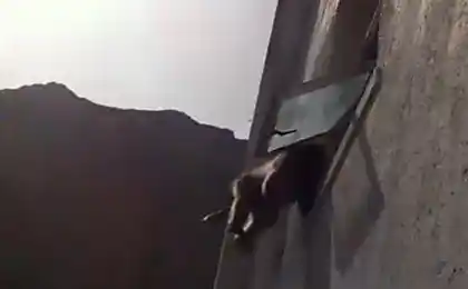 Не залиште вікно відкритим.