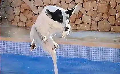 Ходим по воде