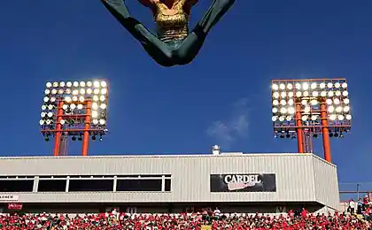 Полеты 2010