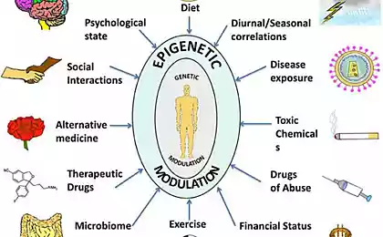 Что Вы не знали об эпигенетике: гены и клеточная память