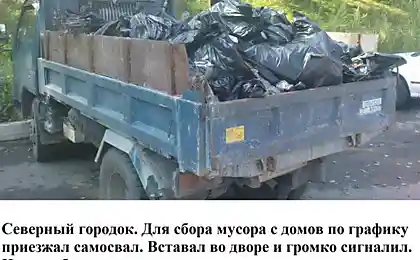 Халява привалила