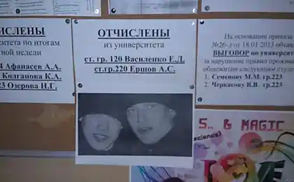 Так вот они кто!