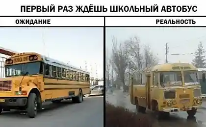 Жестокая правда XD