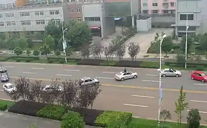 Свадебная "волна"