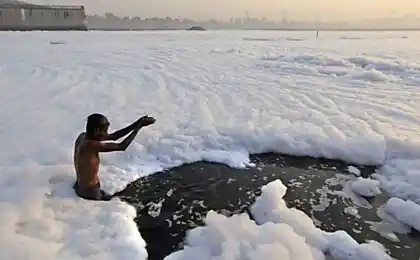Плавання в брудній воді (8 фото)