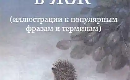 ёЖЖик в тумане