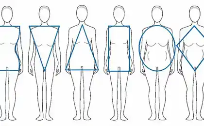 Tipos de cuerpo. La relación de la talla y el peso
