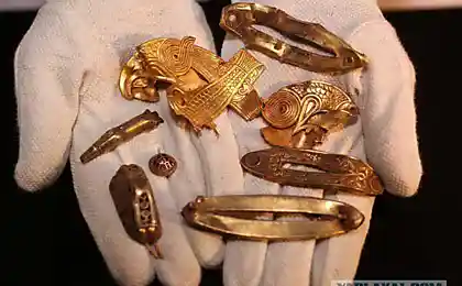 Всем копааааать!111 (8 фото)