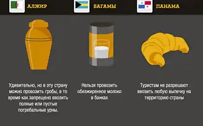 Що заборонено перевозити в деякі країни