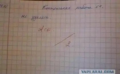 Контрольная